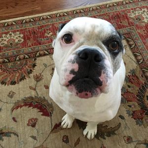 Meet your Posher, Maureen